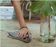 5 GREAT GREEN CLEANING PRODUCTS FROM OUR CATALOG