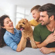 CLEANING SUPPLIES FOR NATIONAL PET MONTH