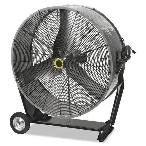 Fans
