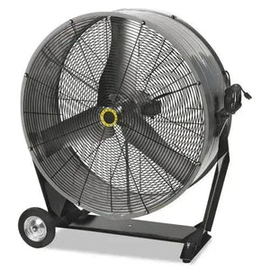 Fans