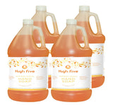 JaniSource HighFive Antibacterial Hand Soap, 1 Gallon (Case of 4) 